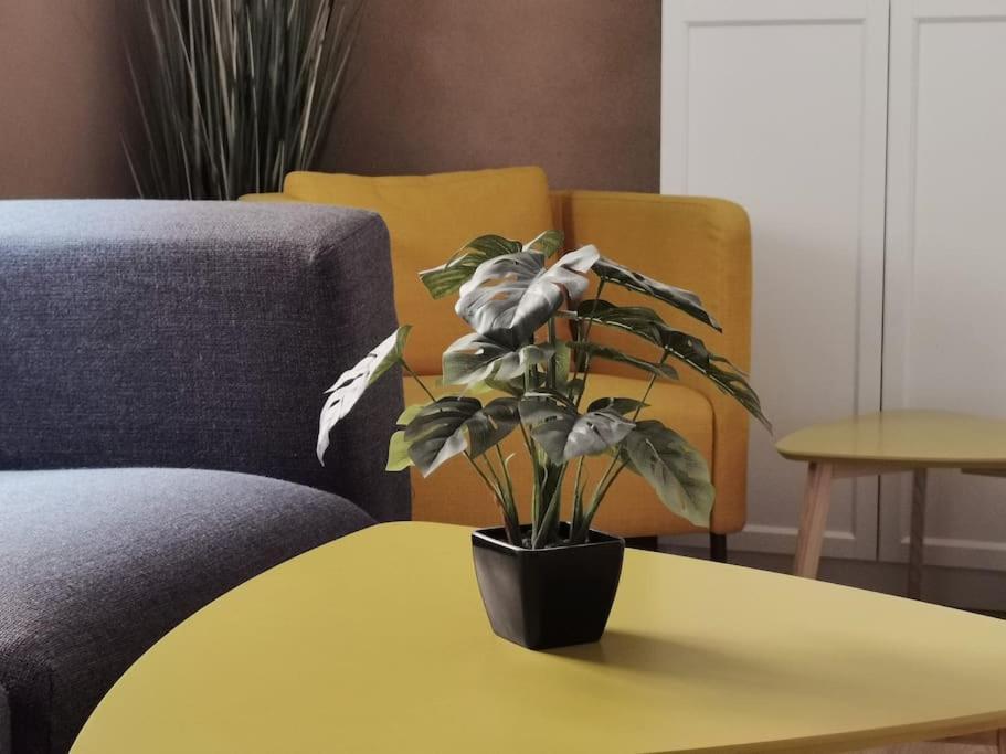 ארפורט Ferienwohnung Im Bruehl מראה חיצוני תמונה